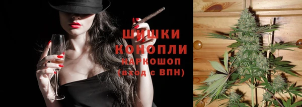ECSTASY Гусев