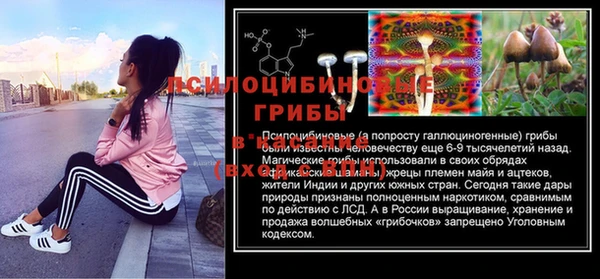 2c-b Алексин