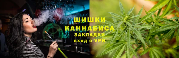 ПСИЛОЦИБИНОВЫЕ ГРИБЫ Елабуга