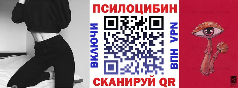 Псилоцибиновые грибы Psilocybe  Луза 